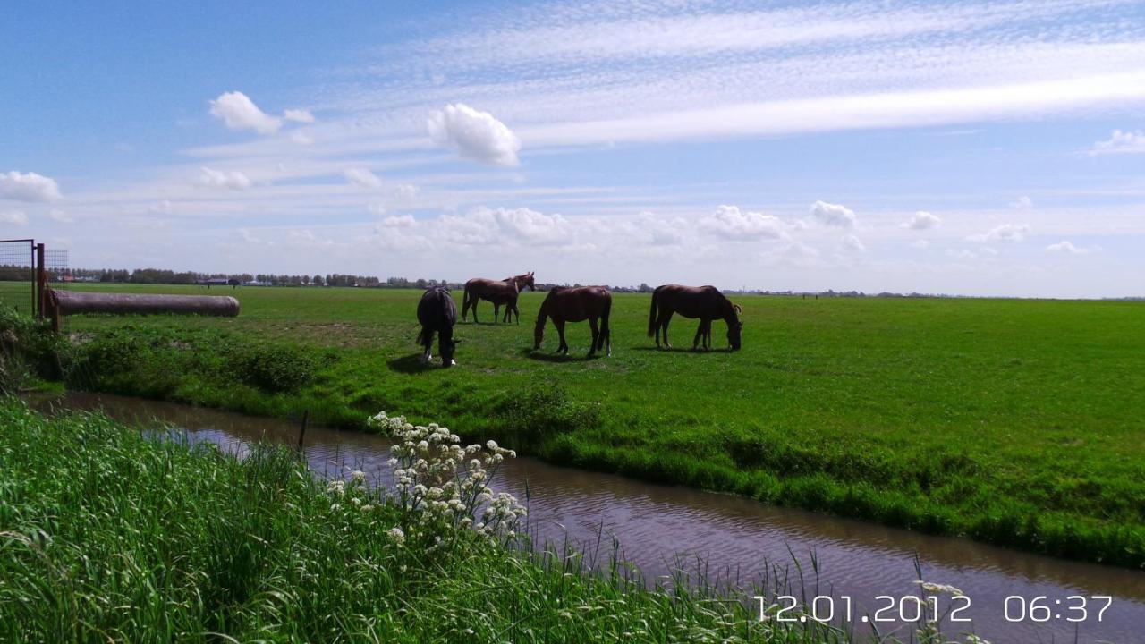 Bed & Breakfast Prins Hendrik (Zuidschermer) photo