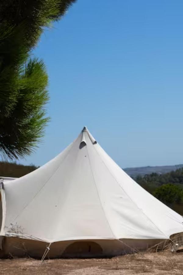 Magical Treehouse - 2