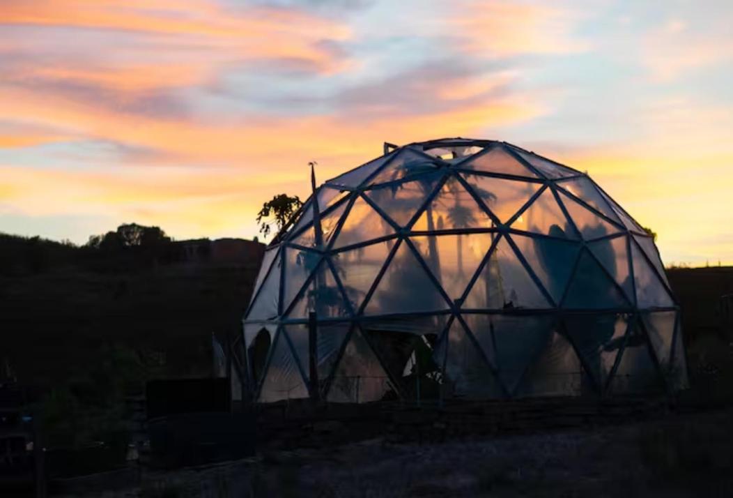 Magical Treehouse - 3