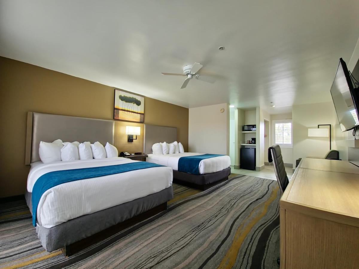 Los Viajeros Inn — photo 21