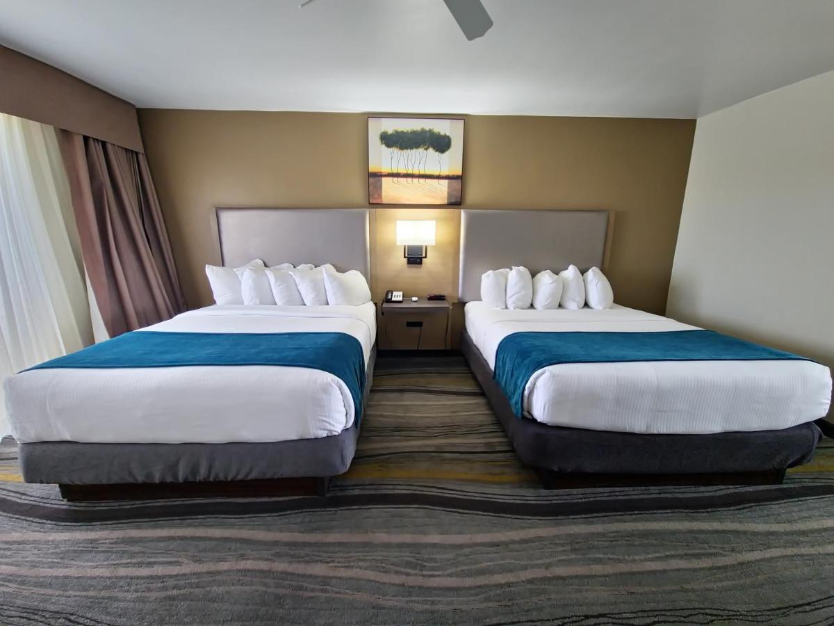 Los Viajeros Inn — photo 17