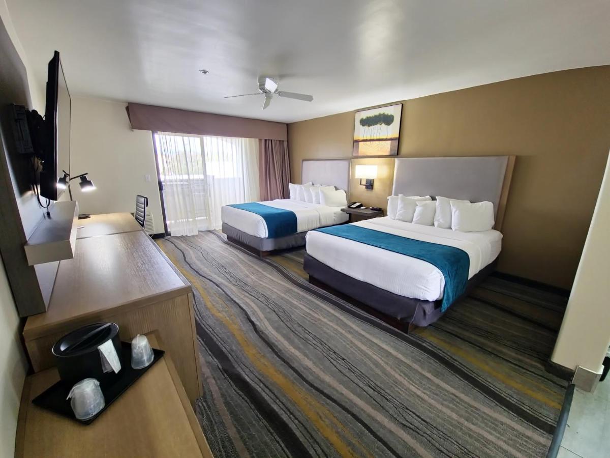 Los Viajeros Inn — photo 24