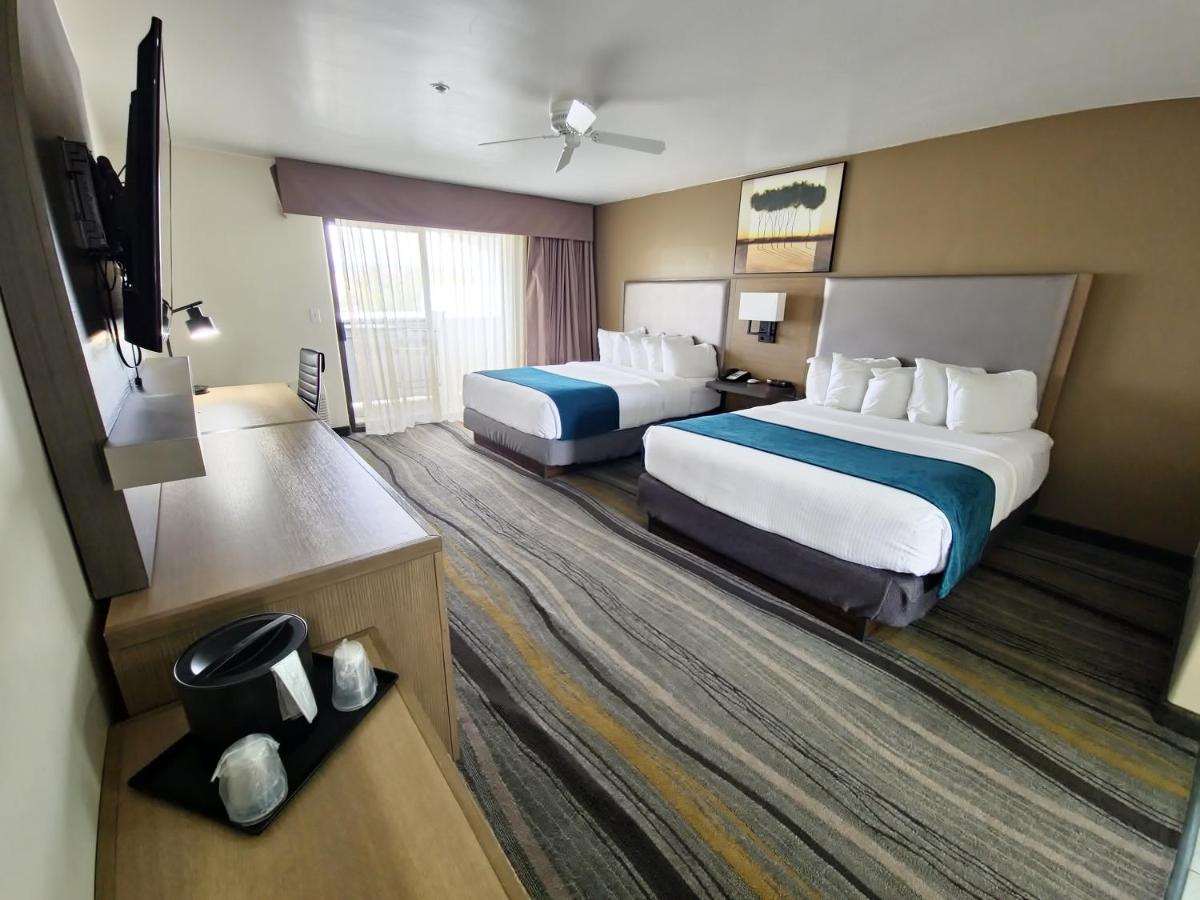 Los Viajeros Inn — photo 20