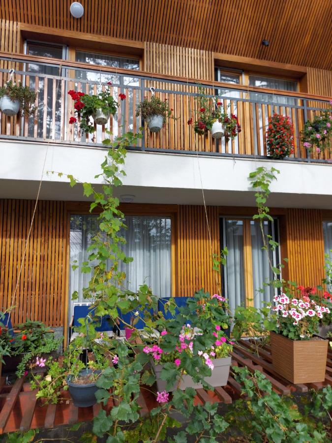 Tarcin Forest Resort Villa No 303 photo
