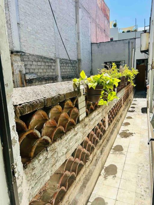 A8 Habitacion en Condesa Amsterdam - 2