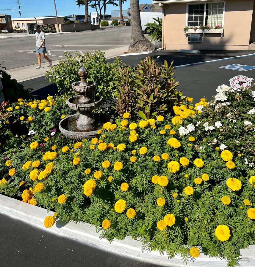 Central Coast Inn Cayucos — photo 14