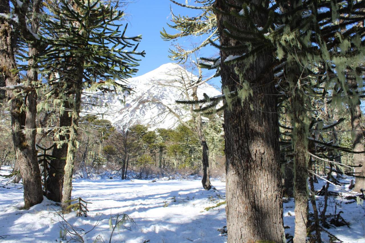 Hotel Enjoy Pucon photo