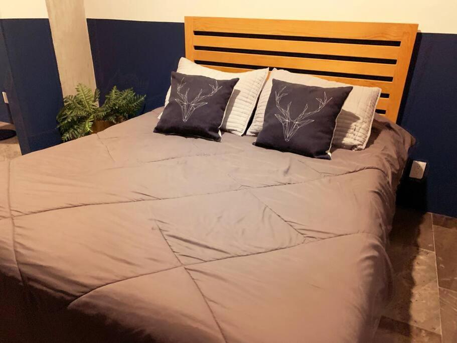 Papaloapan by SMART - 5