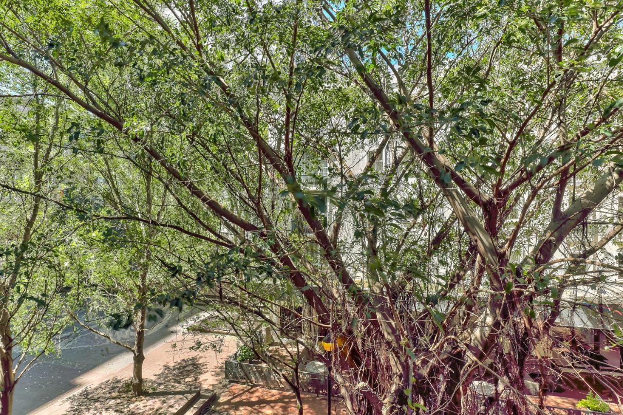 Studio on the Square - 2