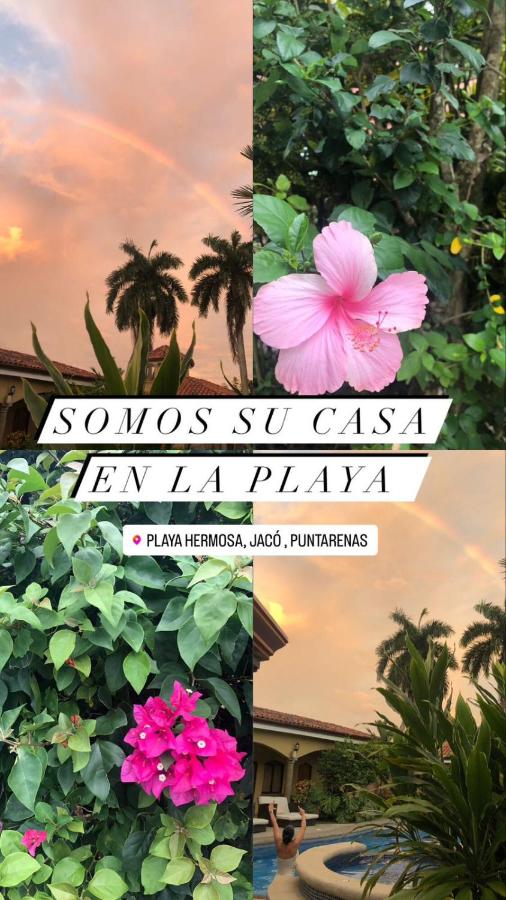 Las Brisas Resort and Villas photo