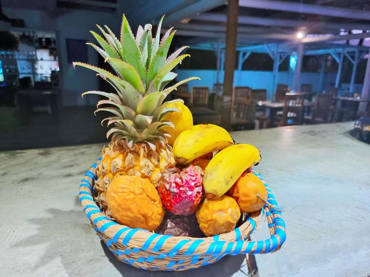 Stella Rina "Adults Only" - 4