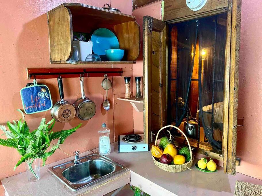 Ocean Sunset Oasis on Negril West End - 4