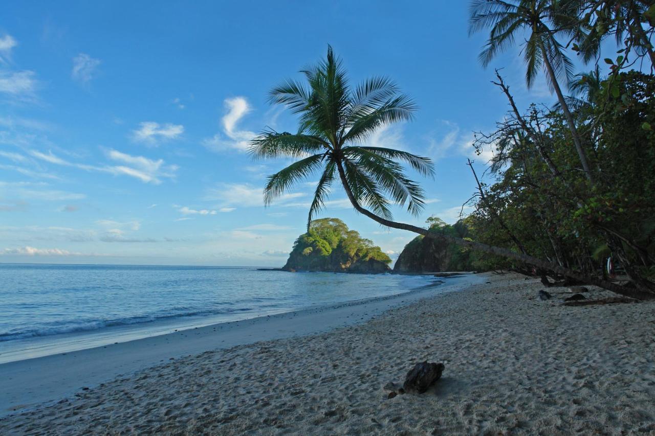 Hotel Punta Leona photo