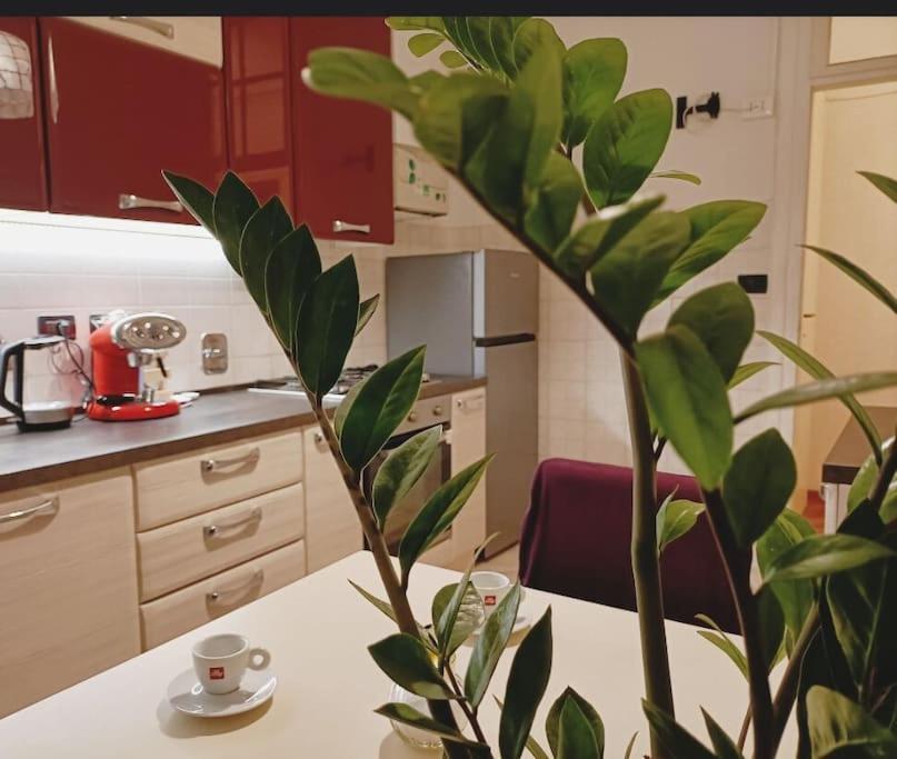 Galleria sul Mare - 5