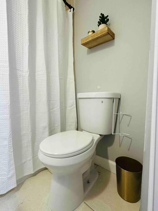 Coral Gables Miami Studio near Airport and Beaches - 3