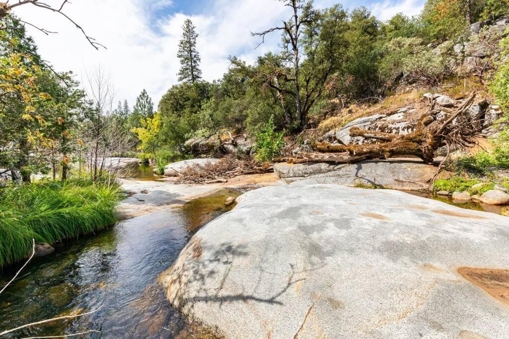 Ponderosa Pines Escape — photo 1