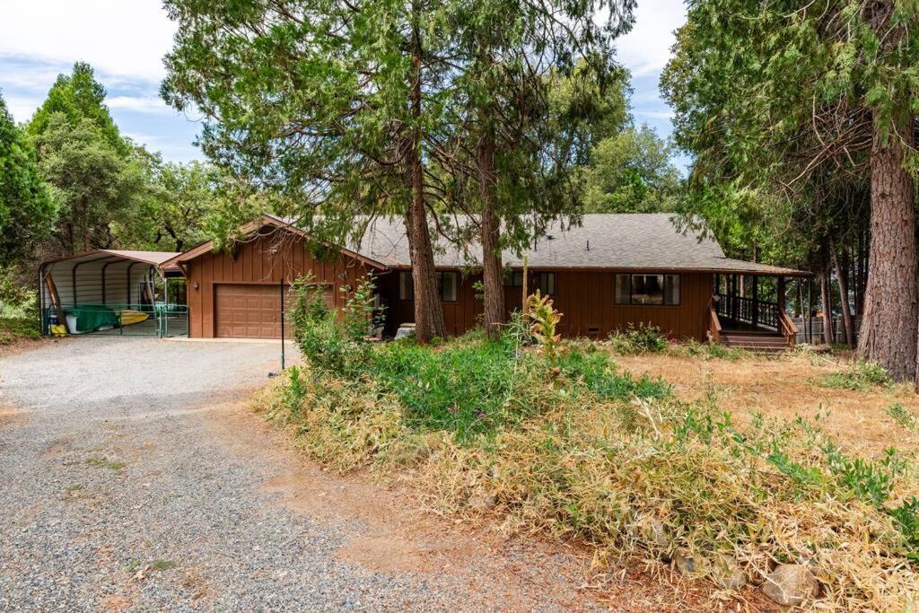 Ponderosa Pines Escape — photo 15