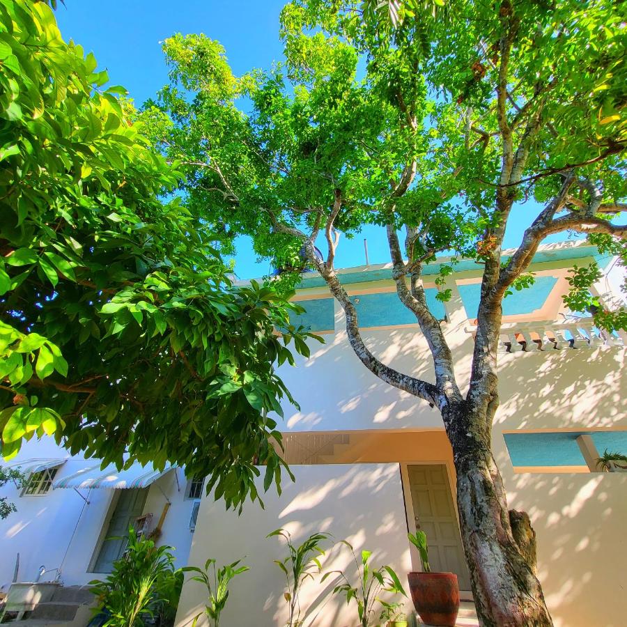 Green's Palace Jamaica - 4