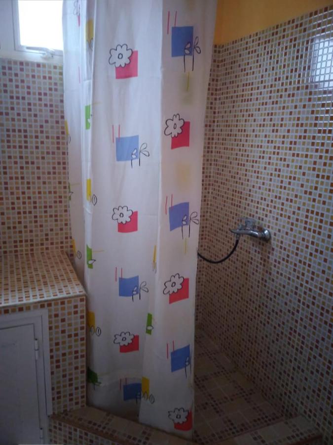 Hibiscus chez Arielle - 3