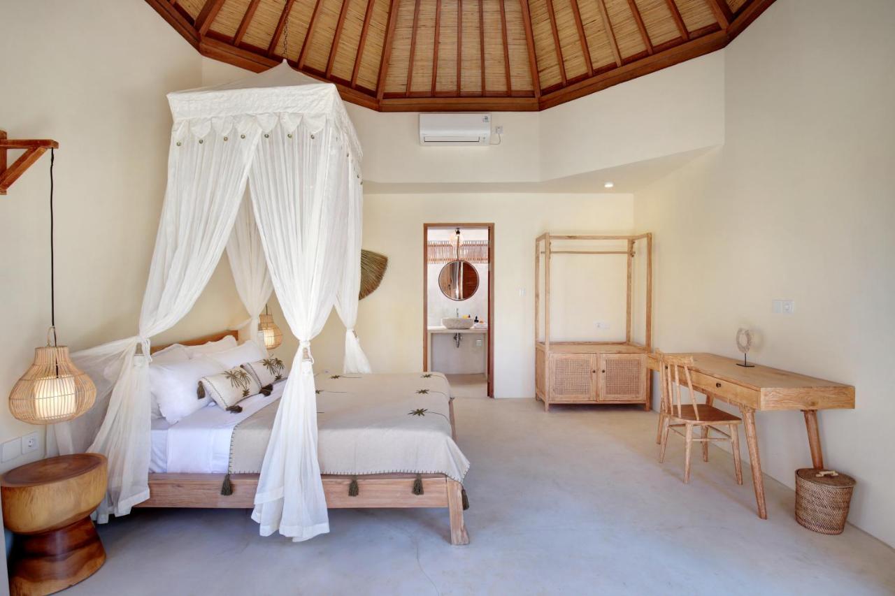 Aurora Wonderland - 2