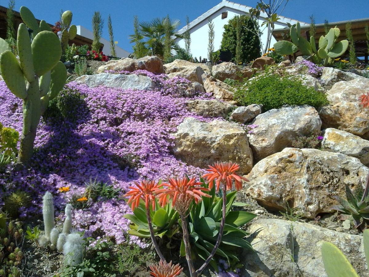 Bed & Breakfast | Guest House Casa Don Carlos, Alhaurín el ...