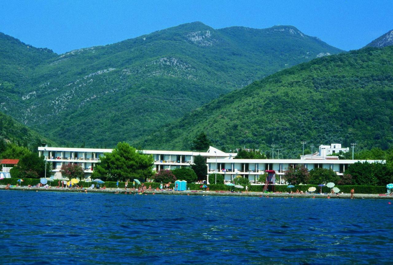 Image: Hotel Kamelija