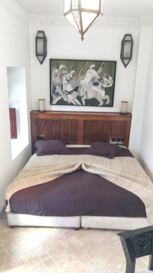 Ryad Petit Palmier - 2