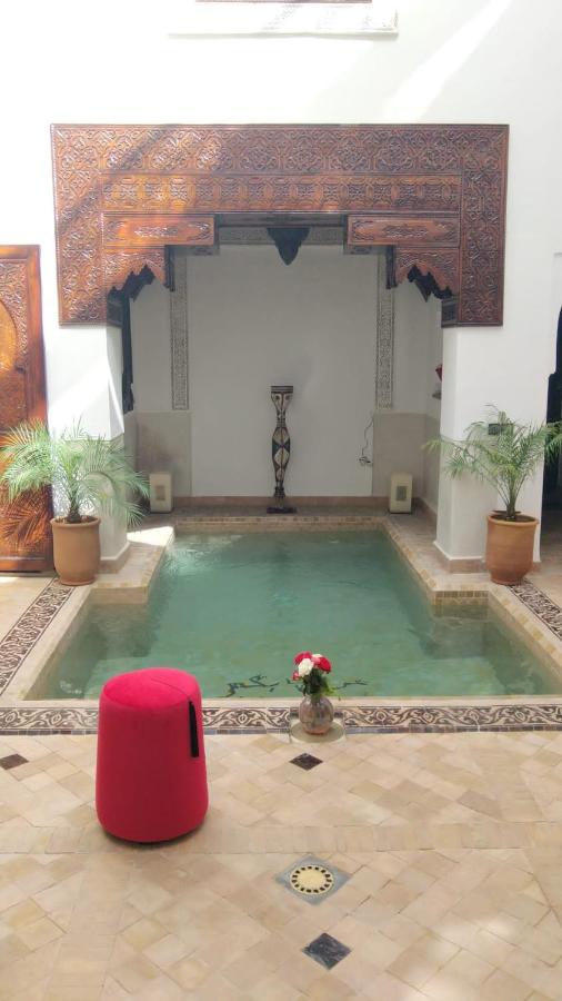 Ryad Petit Palmier - 4