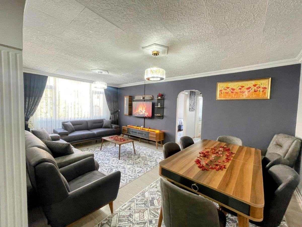 Orbital Travel House 1 - 5