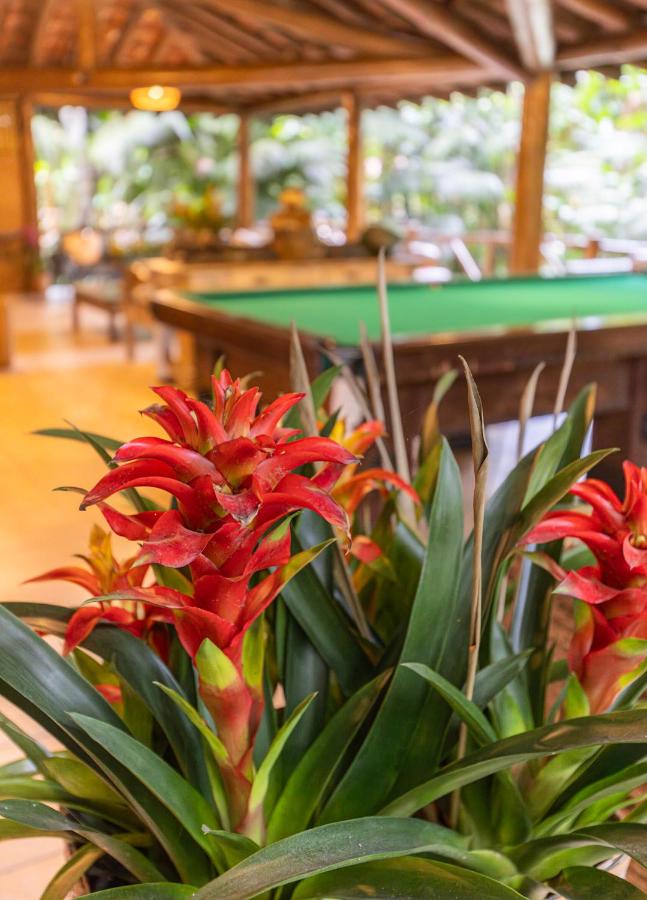 Itamambuca Eco Resort photo