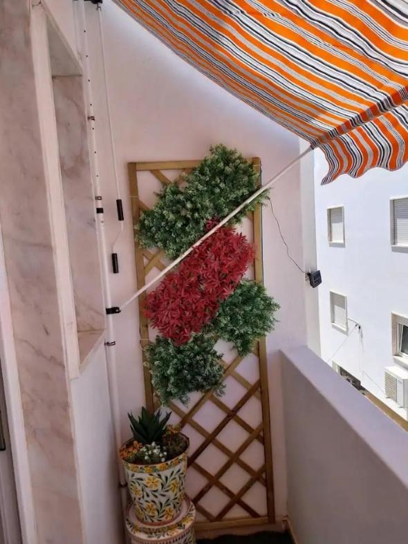 Casa Oliveira Lagos - 4