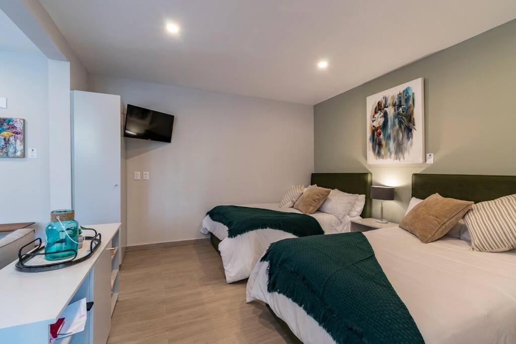 LOVELY LOFT COYOACAN (DIEGO) - 5