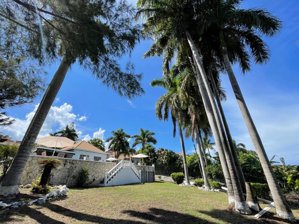 Peaceful Palms Montego Bay - 4