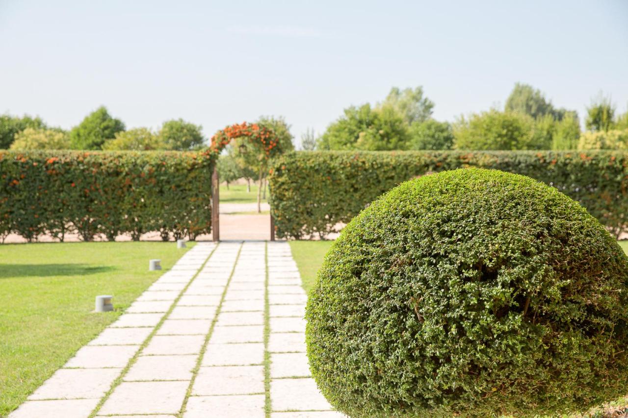 Tenuta Albertini photo