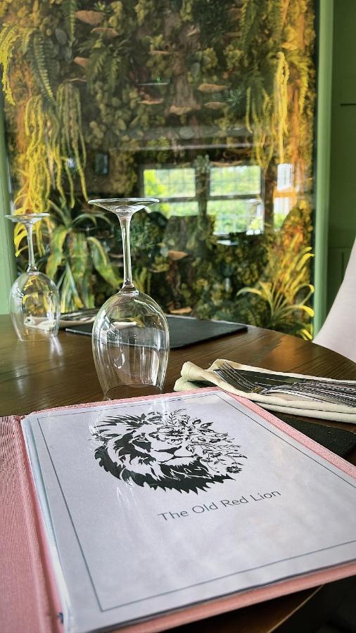 The Old Red Lion Inn - 5