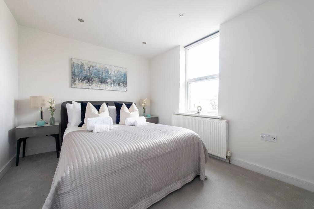 Elevated Elegance 1BR 1BA Flat in Wellmeadow Rd 65B - 2