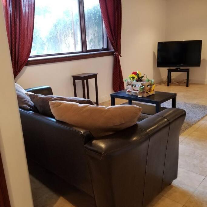 Holiday at Halliday - 5