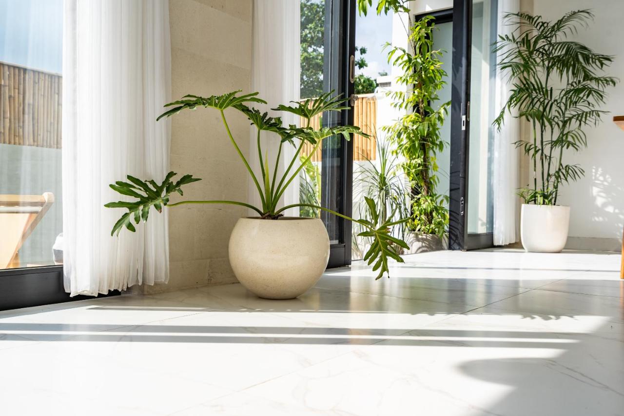 Tropical 2 Bd Villa With Private Pool Canggu - Yoda Villa - 3