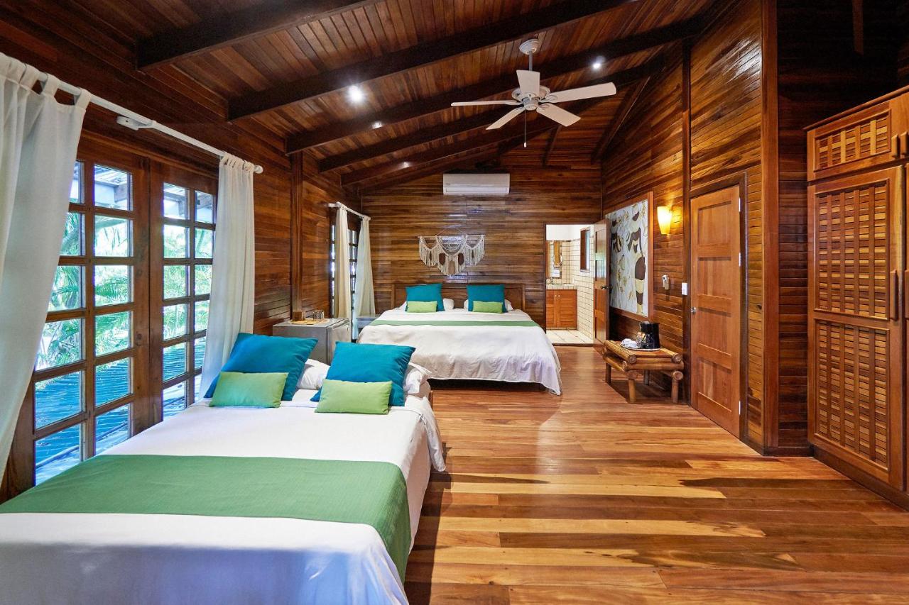 Hotel Tropico Latino photo