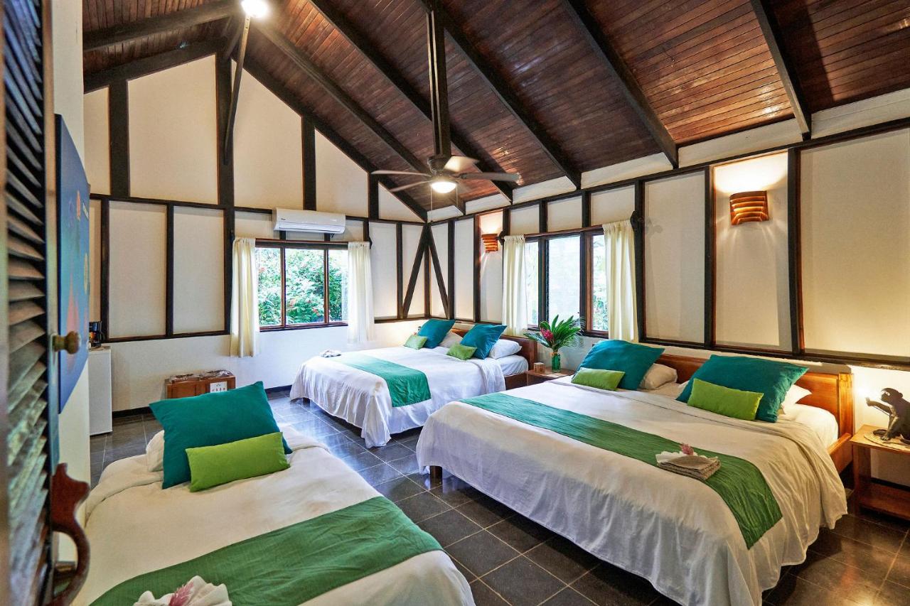 Hotel Tropico Latino photo