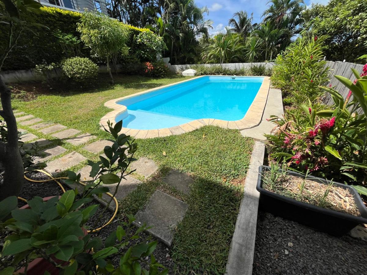Spacious basement studio in tranquil nook