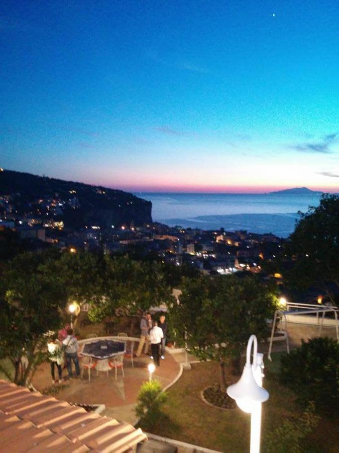 Garden on the Sea photo