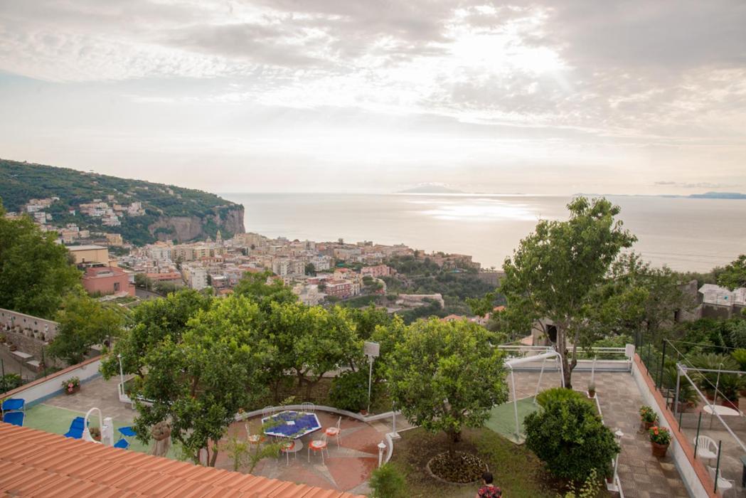 Garden on the Sea photo