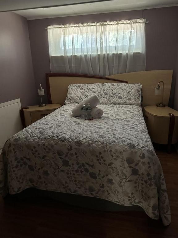 Cozy Spacious Guest Suite - 2