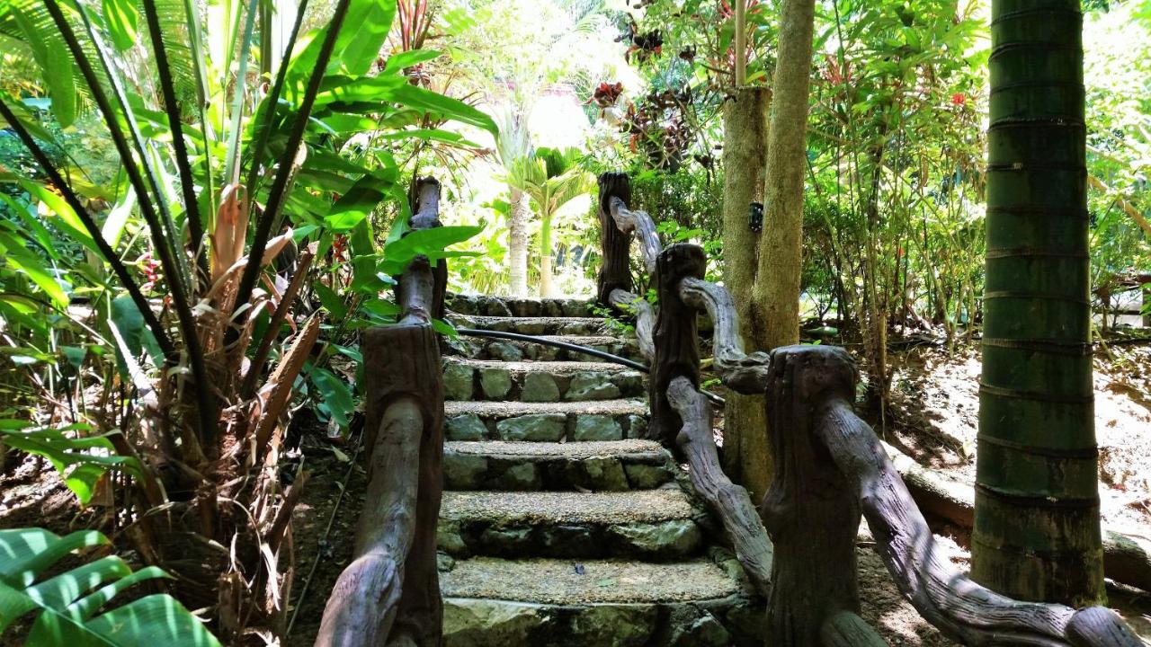 Khaosok Las Orquideas Resort, Khao Sok National Park – Updated 2022 Prices