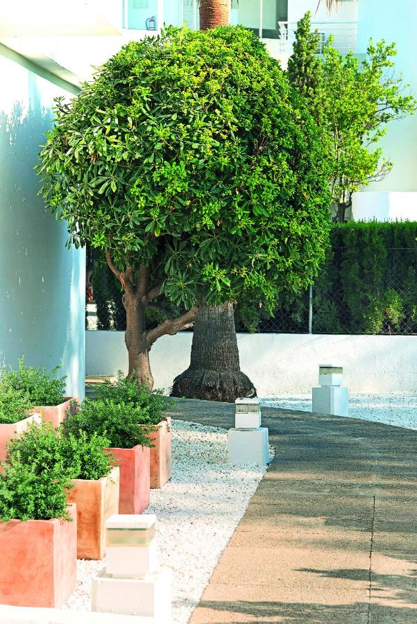 Apartamentos Sivella, Port de Pollensa – Updated 2022 Prices