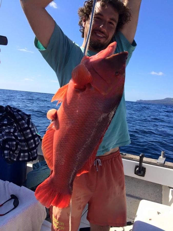 Retiro das Bananeiras - 5