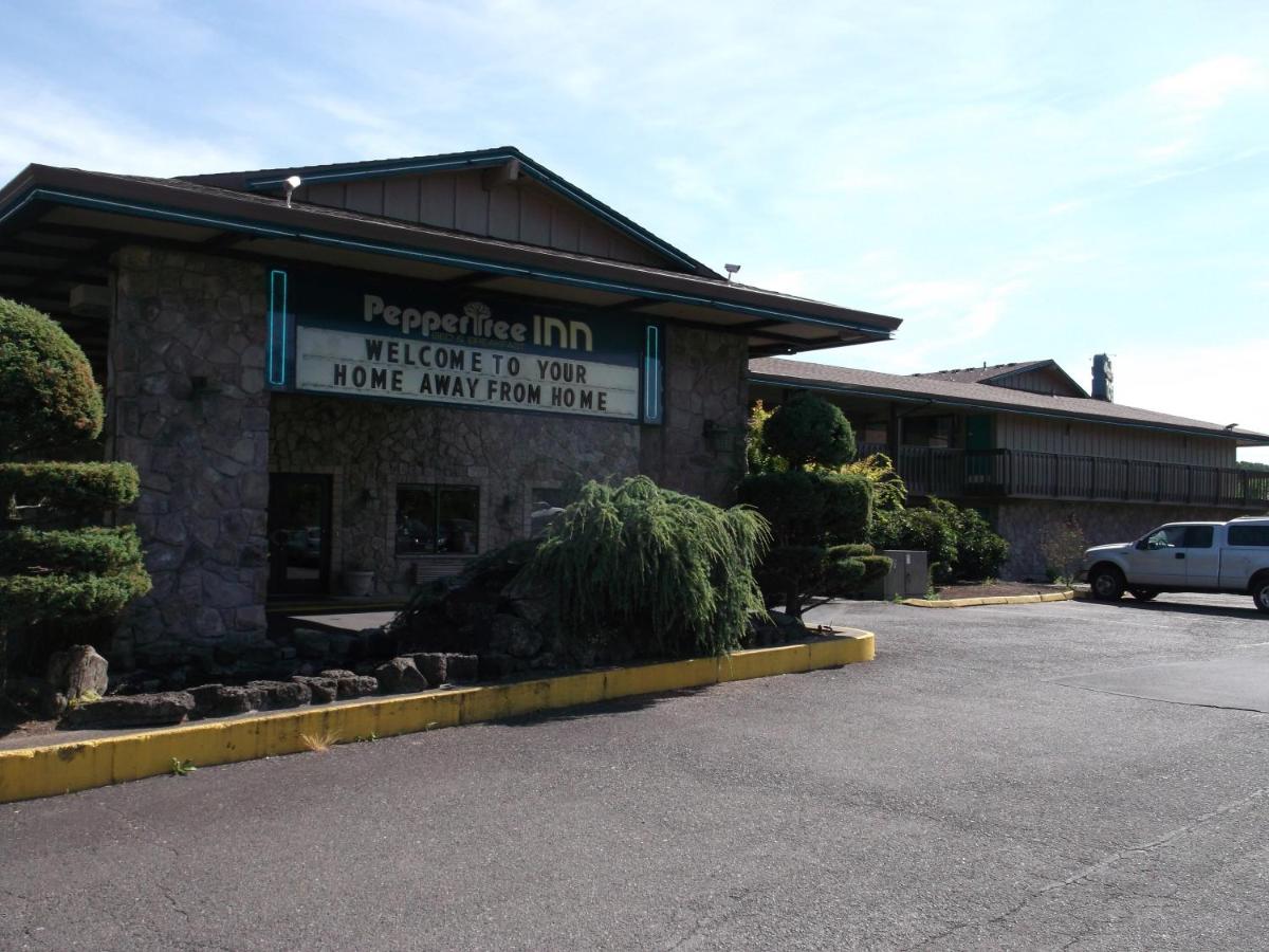 Pepper Tree Motel — photo 12