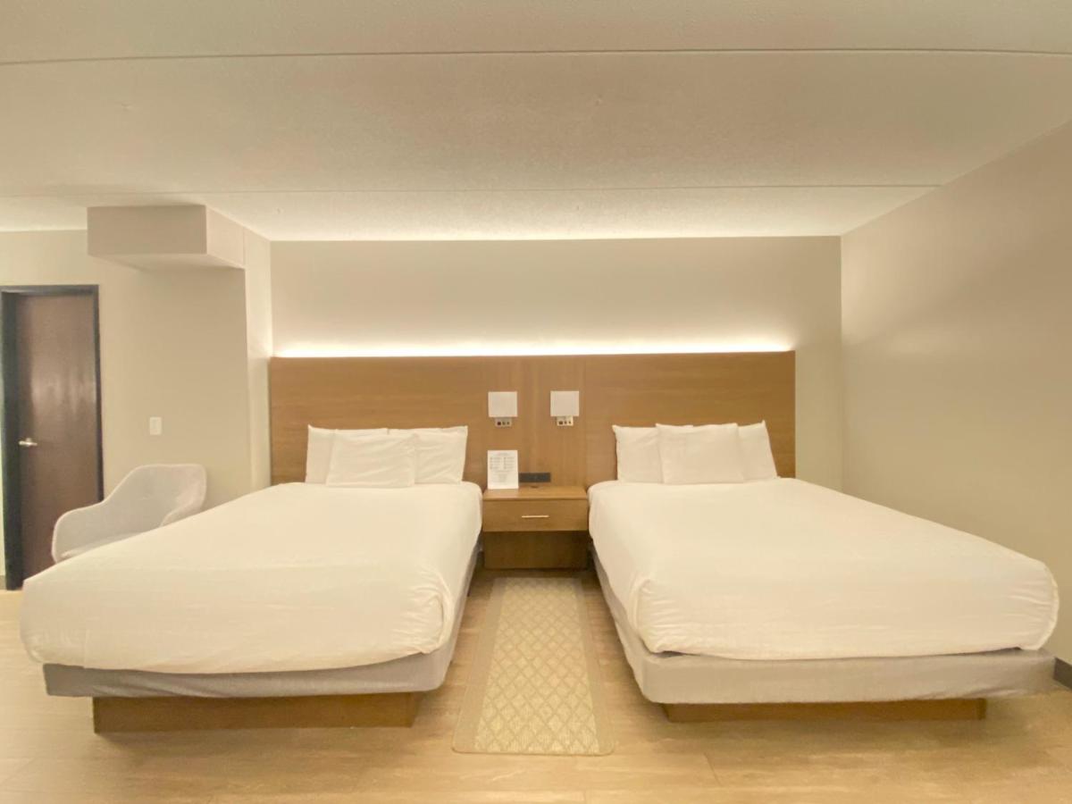 Superior Stay Hotel — photo 11