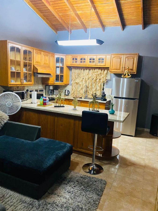 Blissett Apt, Your Jamaican Home - 4